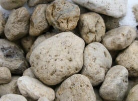 Aspect des pierres de Lamonriville - Rondo