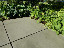 Megasmooth et Lithofin MN Enduit Béton