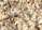 Pavé granit dessus clivé - Dessous scié - Cotés sciés - Dessus Clivé Pavé granit dessus clivé - Dessous scié - Cotés sciés - Dessus Clivé