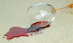 Nettoyage tache de vin