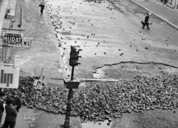 Mai 1968  pavés mosaïques en grès