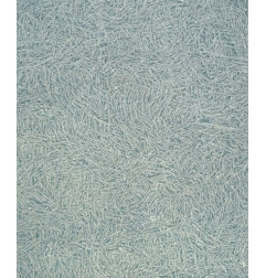 L'Aspect de la Pierre Bleue Belge Givré