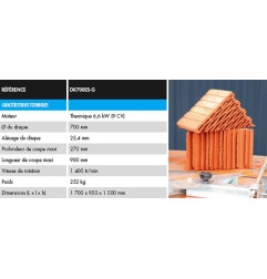 Scie sur table DK700ES-G - Diam Industries
