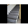 Marche d'escalier en Pierre Bleue Belge SUR MESURE Marche d'escalier en Pierre Bleue Belge SUR MESURE
