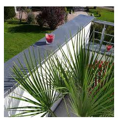 Couvre-mur - Pierre Bleue Belge - SUR MESURE