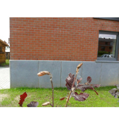 Soubassement - Pierre Bleue Belge - SUR MESURE