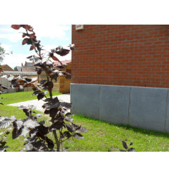 Подвал - Бельгийский голубой камень - ON MESURE