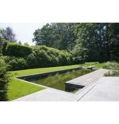 马盖尔泳池 - 比利时蓝石 - 上梅塞尔