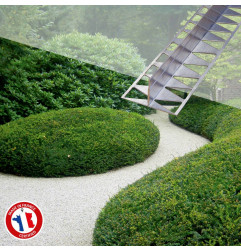 Pack Voitures : Stabilisateur +  Graviers + Bordures - Nidagravel