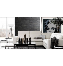 胶粘剂上的石块