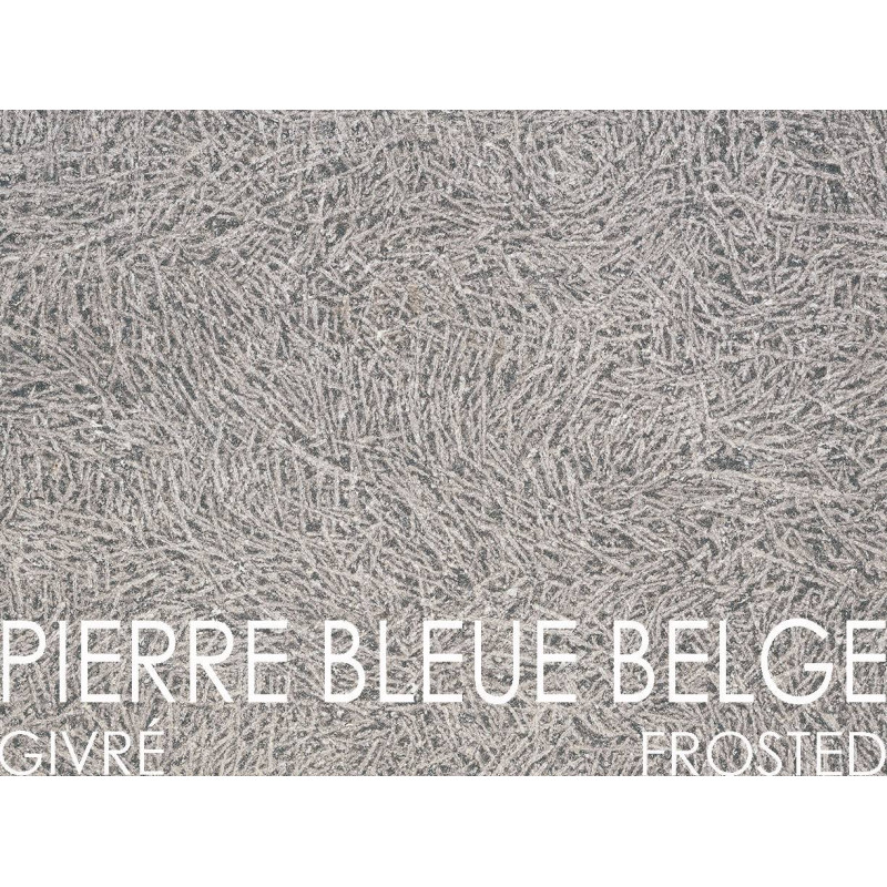 Dalle de Pierre Bleue Belge - Givré Dalle de Pierre Bleue Belge - Givré