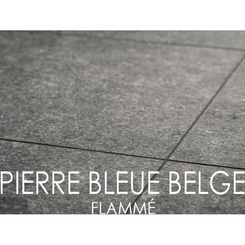 Terrasse en Pierre Bleue Belge - Flammé Bleu