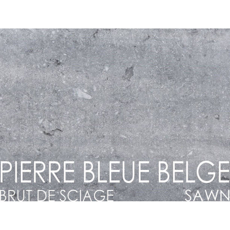 Terrasse en Pierre Bleue Belge - Scié (Choix Courant)