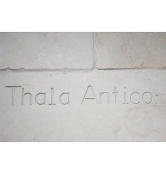 Pierre Blanche Thala Beige - Antico