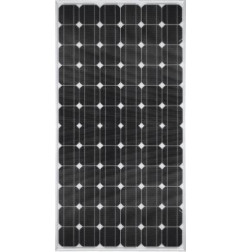 Panneau solaire - SYP175S-50M - Risen Energy