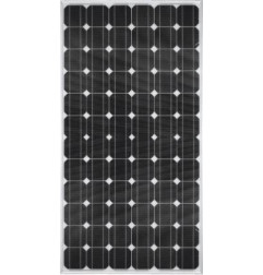Panneau solaire - SYP175S-50M - Risen Energy