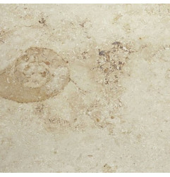 Aspect de la Pierre Blanche Jura Beige - Adouci