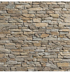 Stonepanel Sahara Quartzite marron