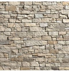 Stonepanel Sahara Quartzite marron