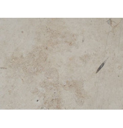 Aspect de la Pierre Blanche Jura Beige- Antico