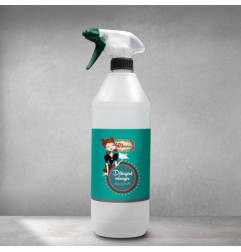 Détergent ménager Spray 60'solution - PRO - 1litres