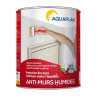 Anti-Wet Walls - Waterproof coating against moisture - Aquaplan