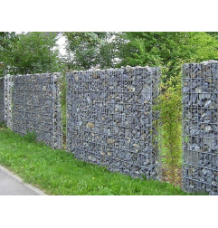 Режиссер с Пергонес в комплекте