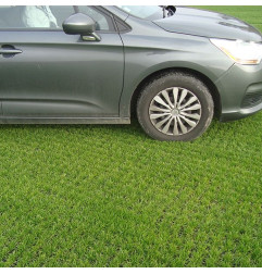 Grass reinforcement grid in HDPE - ECCOdal - ECCO