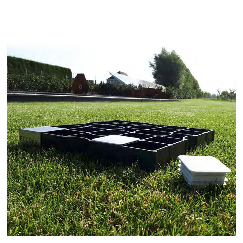 标记插头 - ECCOdal markers - ECCO