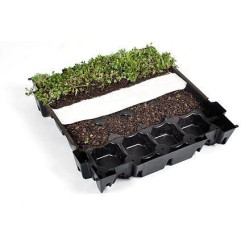 بلاط سيدوم المزروع مسبقًا للسقف الأخضر - ECCOsedum - ECCO