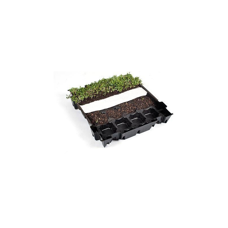 Предварительно выращенная плитка для зеленой крыши - ECCOsedum - ECCO