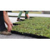 Pre-cultivated sedum tile for green roof - ECCOsedum - ECCO Pre-cultivated sedum tile for green roof - ECCOsedum - ECCO