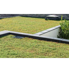 Vorkultivierter Sedumziegel für Gründach - ECCOsedum - ECCO