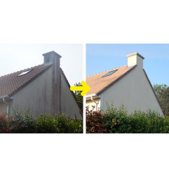 Anti-M Guard 24 - Behandeling tegen groene aanslag, korstmossen en schimmels - Guard Industrie