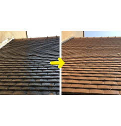 Anti-M Guard 24 - Tratamiento contra depósitos verdes, líquenes y hongos - Guard Industrie