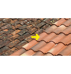 Anti-Dépôt Vert Guard 500 - Fungicida concentrato - Guard Industrie