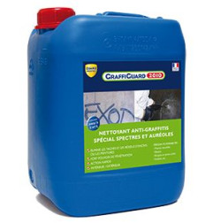 GraffiGuard 2010 - Detergente speciale per graffiti spettri - Guard Industrie