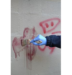 GraffiGuard 2010 - Limpiador de graffiti especial spectra - Guard Industrie