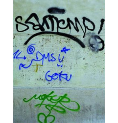 GraffiGuard 2030 Ecologico - Detergente speciale per graffiti per superfici porose - Guard Industrie