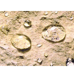 ImperGuard Premium - Impermeabilização de alto desempenho - Guard Industrie