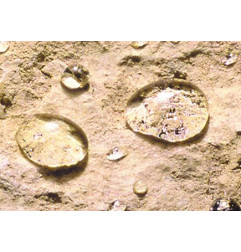 Mineralisierendes Mittel Guard HO - Oberflächenhärter wasser- und ölabweisend - Guard Industrie