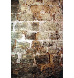 Mineralizing Guard HO - مُقوي الأسطح الطارد للماء والزيوت - Guard Industrie