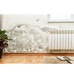 Minéralisant Guard RC - 阻止毛细血管上升并干燥壁 - Guard Industrie