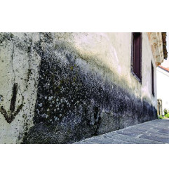 Minéralisant Guard RC - Stops capillary rise and dries up the walls - Guard Industrie