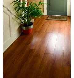 Polish'Guard - Cera protetora - Guard Industrie