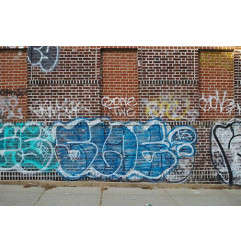 Super AntiGraffiti Guard خاص متعدد الأسطح - مضاد دائم للجرافيتي - Guard Industrie