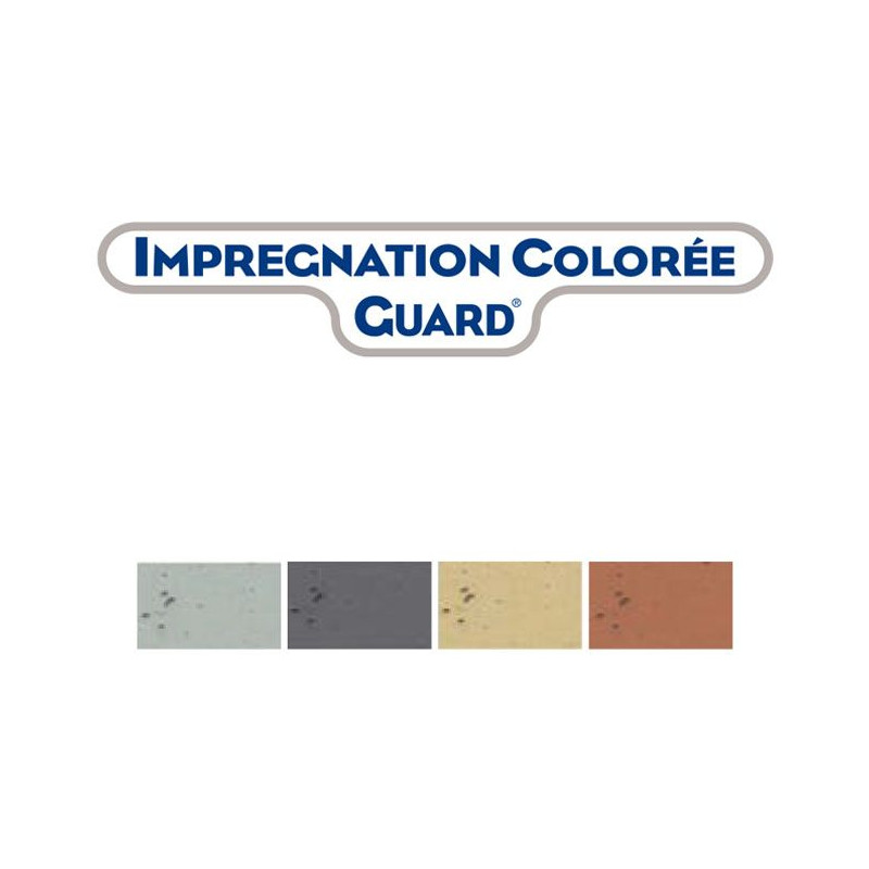 تشريب ملون Guard - طلاء ملون مقاوم للماء للخرسانة - Guard Industrie تشريب ملون Guard - طلاء ملون مقاوم للماء للخرسانة - Guard Industrie