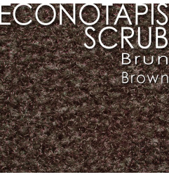 Tapis Scrub EconoTapis - Paillasson Polyamide Dur - Verimpex