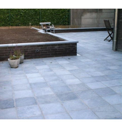 Blauwe Pierre van China - tamboerijn (leeftijd)