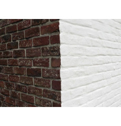 Blanqueamiento Estructurado - Pintura Mineral - Seifert